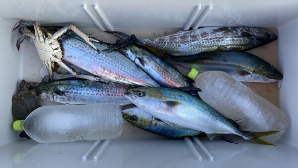 2025年10月27日海賊船釣果