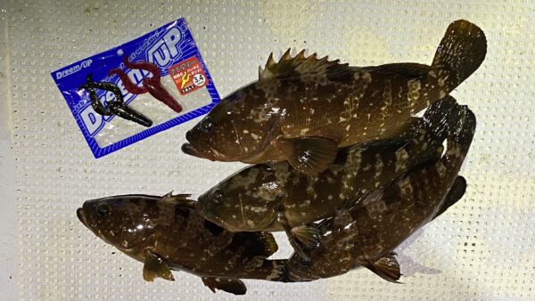 2025年12月22日海賊船釣果