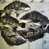 2026年2月26日海賊船釣果